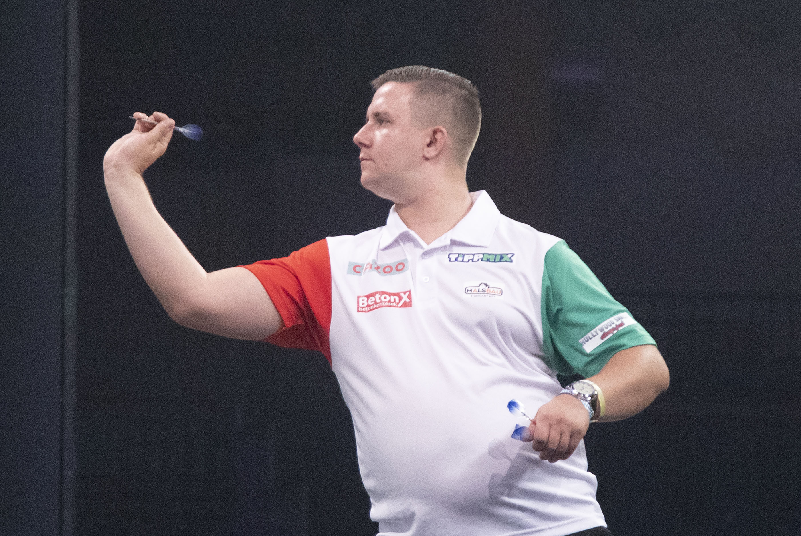 Hungary, South Africa & Portugal pairings confirmed for World Cup PDC